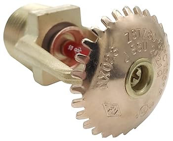 61A+SDVNw6S._UF350,350_QL80_.jpg